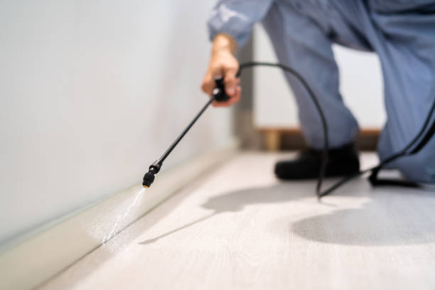 Licensed Mosquito Control service in St. Stephen, SC - Show Me Pest Control