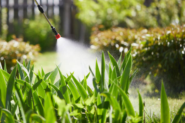 24/7 Emergency Mosquito Control experts in St. Stephen, SC
