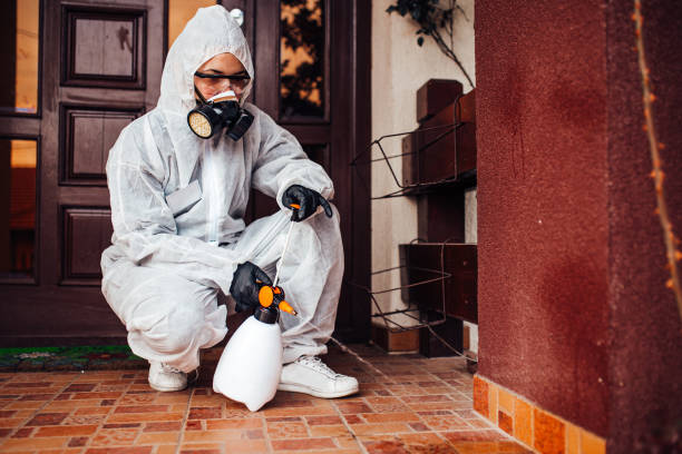 Reliable Mosquito Control contractor in St. Stephen, SC by Show Me Pest Control